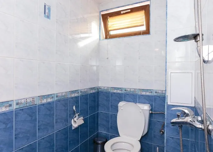 Guest house & Fotinov